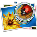 Xbox Series X os melhores jogos de MOBA para campanha solo