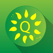 melhor site slot brasil Guia