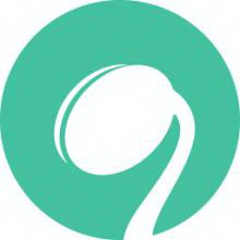 Ecossistema competitivo de Fênix das Sombras por Echo Forge em 2023